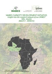 Wabes Capacity Devolpment Initiative