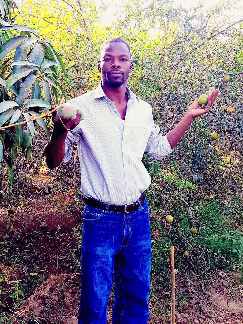 Profil Picture