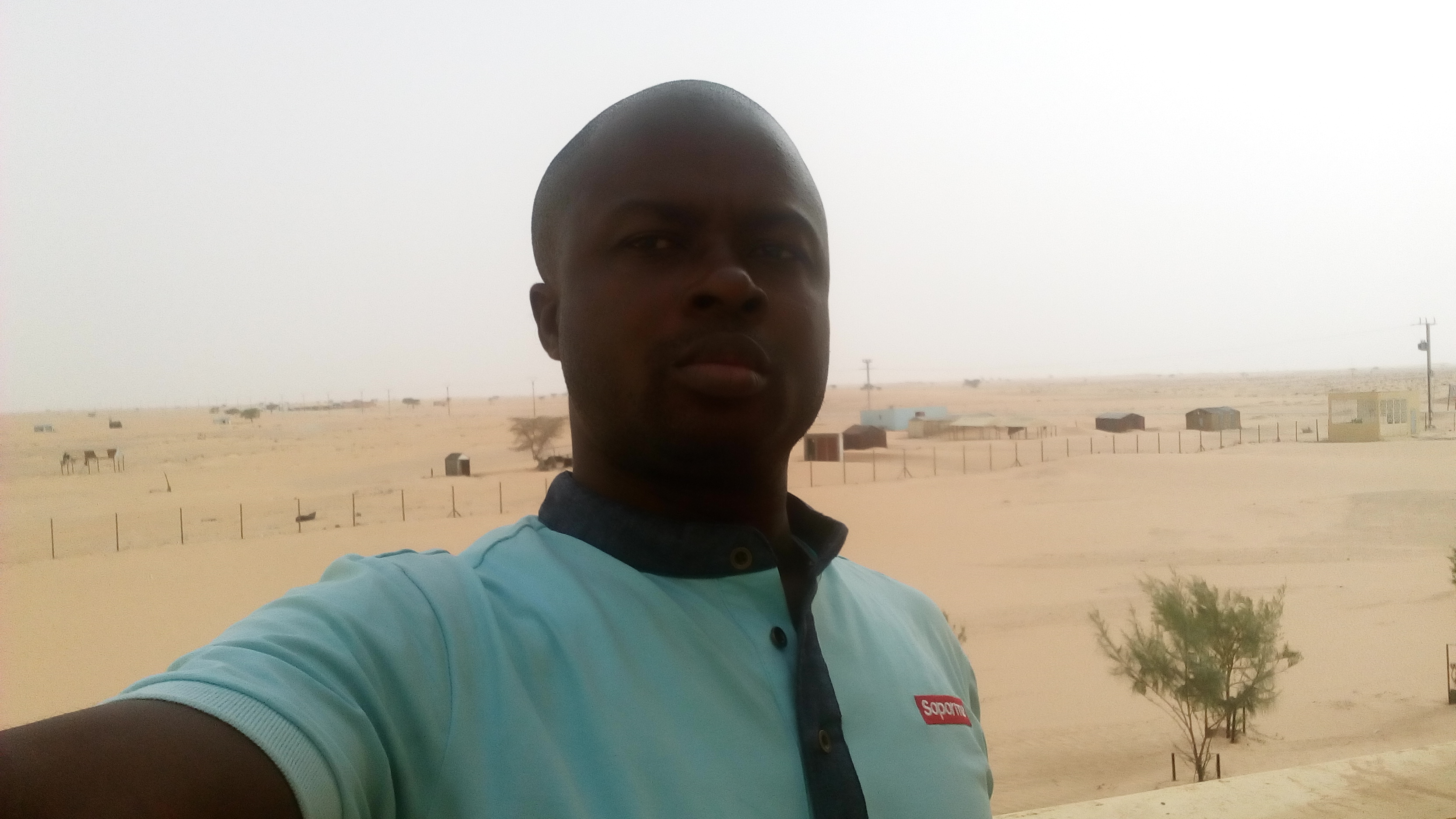 Profil Picture